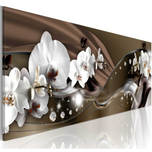 Obraz - Chocolate Dance of Orchid 150x50