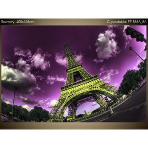 Fototapeta Eiffelova věž v Paříži 400x268cm FT1565A_8A