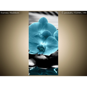Fototapeta Tyrkysová orchidej a kameny 95x205cm FT2398A_1AN (Extra gramáž a tloušťka (180-212g/m2 a 100um))