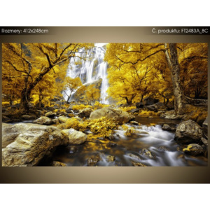 Fototapeta Nádherný podzimní vodopád 412x248cm FT2483A_8C