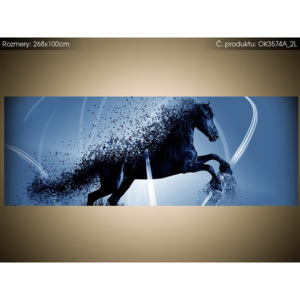 Samolepící fólie Modrý kůň - Jakub Banas 268x100cm OK3574A_2L