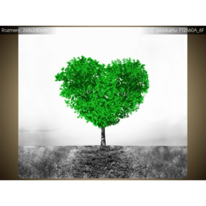 Fototapeta Zelený strom lásky 268x240cm FT2560A_6F