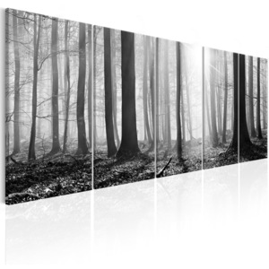 Obraz - Monochrome Forest 200x80