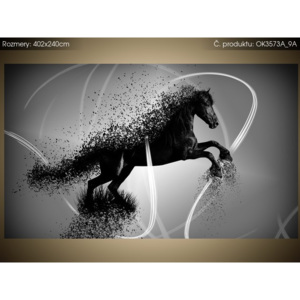 Samolepící fólie Černobílý kůň - Jakub Banas 402x240cm OK3573A_9A