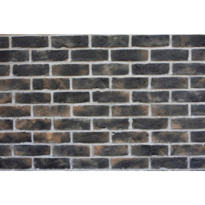 Wild Stone Holland Brick 305 nevada, fasádní obklad, šedobéžová, 21 x 6 cm
