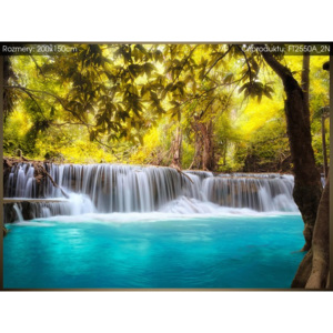 Fototapeta Krásný vodopád v džungli 200x150cm FT2550A_2N