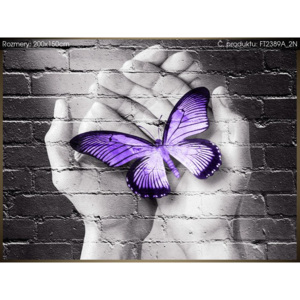 Fototapeta Fialový motýl na dlaních 200x150cm FT2389A_2N