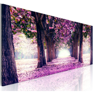 Obraz - Purple Spring 150x50