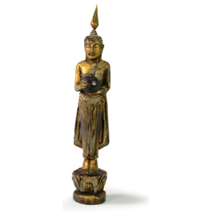 Narozeninový Buddha, středa, teak, zlatá patina, 26cm