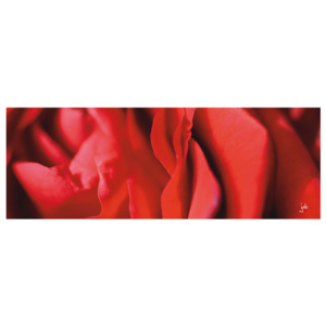 Obraz FENG-SHUI oheň-Jméno růže