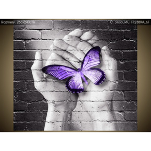 Fototapeta Fialový motýl na dlaních 268x240cm FT2389A_6F