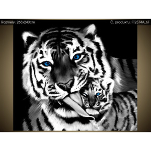 Fototapeta Černobílý tygr a tygřík 268x240cm FT2574A_6F
