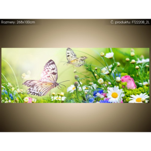 Fototapeta Motýli a květiny v krásné zahradě 268x100cm FT2220B_2L