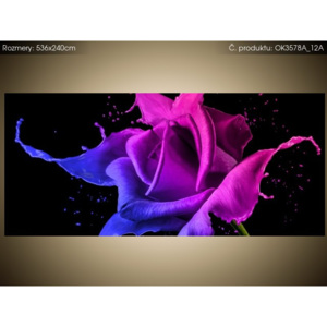 Samolepící fólie Růže z barev - Jakub Banas 536x240cm OK3578A_12A