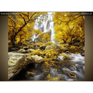Fototapeta Nádherný podzimní vodopád 268x240cm FT2483A_6F