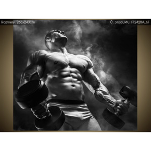 Fototapeta Silný bodybuilder black and white 268x240cm FT2428A_6F