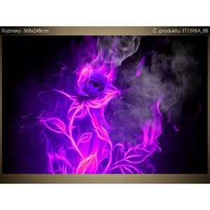 Fototapeta Růže ve fialovém plameni 368x248cm FT1398A_8B