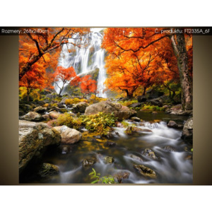 Fototapeta Podzimní vodopád 268x240cm FT2335A_6F