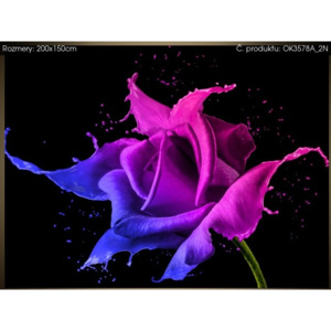 Samolepící fólie Růže z barev - Jakub Banas 200x150cm OK3578A_2N