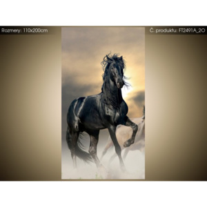 Fototapeta Nádherný černý kůň 110x200cm FT2491A_2O (Extra gramáž a tloušťka (180-212g/m2 a 100um))