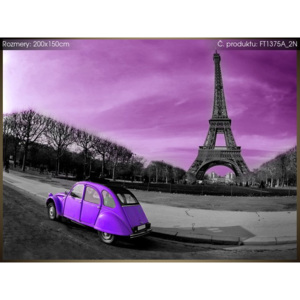 Fototapeta Fialový Citroën 2cv v Paříži 200x150cm FT1375A_2N