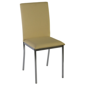 Kovová jídelní židle čalouněná Rita Eko kůže - K2