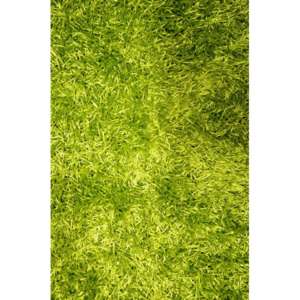 Kusový koberec Paradise zelený