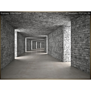 Fototapeta Šedý kamenný tunel 200x150cm FT3712A_2N (Extra gramáž a tloušťka (180-212g/m2 a 100um))
