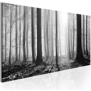 Obraz - Black and White Forest 150x50