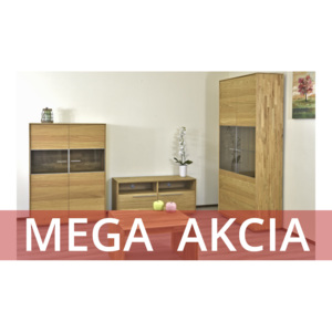 Dubová obývací stěna - masiv - MEGA AKCE - Dub Olej