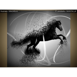 Samolepící fólie Černobílý kůň - Jakub Banas 268x240cm OK3573A_6F
