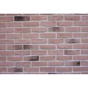 Wild Stone Holland Brick 301 lazio, fasádní obklad, cihlová, 21 x 6 cm