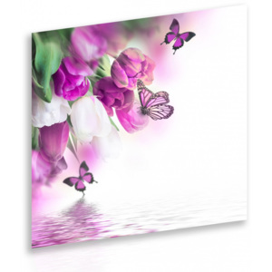 Obraz na plátně - fialoví motýli s tulipány (60x60 cm) - InSmile ®