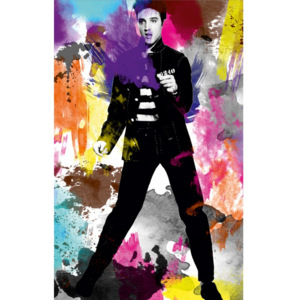 Obraz Milovaný Elvis, 45 x 70 cm