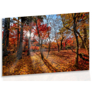 Obraz na plátně - podzim (60x40 cm) - InSmile ®