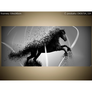 Samolepící fólie Černobílý kůň - Jakub Banas 536x240cm OK3573A_12A