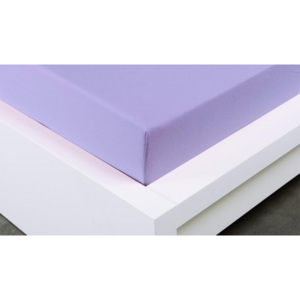 XPOSE ® Jersey prostěradlo dvoulůžko - fialová gramáž 150g/m 160x200 cm