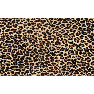 Fototapeta, Tapeta Leopard, (211 x 90 cm)