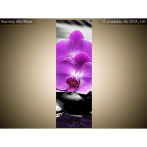 Magnetická fólie na ledničku Fialová orchidej 60x180cm ML1379A_1JO