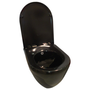 Creavit TERRA TP325.4 černé (závěsné WC+bidet 2v1)