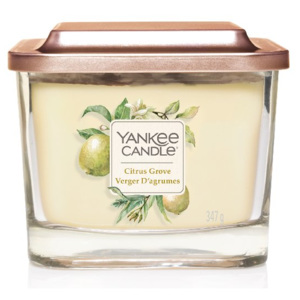 Yankee Candle Elevation - vonná svíčka Citrus Grove 347g (Otevřete okno za slunného dne a potěšte se vůní svěží citrónové kůry, s dotekem jemné borovice a špetky eukalyptu.)