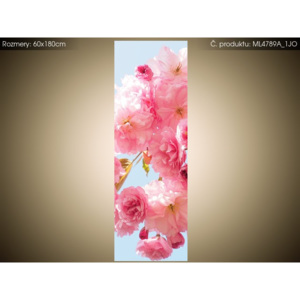 Magnetická fólie na ledničku Růžové květy jabloně 60x180cm ML4789A_1JO