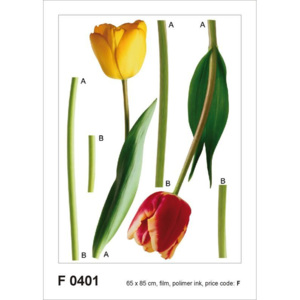 Samolepka AG Design F 0401 Tulipány