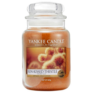 Yankee Candle – vonná svíčka Fruit Fusion, velká 623 g