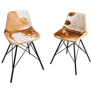 Židle TORO BROWN WHITE pravá kůže Nábytek | Jídelní prostory | Jídelní židle
