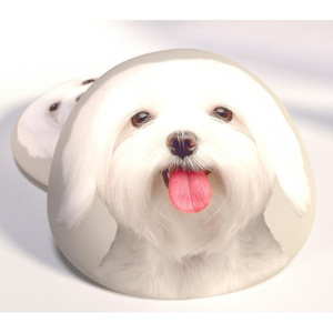 Dětský polštářek 3D pes bílý