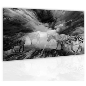 Obraz black and white (90x60 cm) - InSmile ®