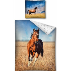 Detexpol povlečení bavlna fototisk Kůň na poli 140x200+70x80 cm