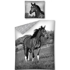 Detexpol povlečení bavlna fototisk Kůň černobíle 140x200+70x80 cm