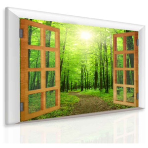 Obraz paprsek v zeleném lese (120x110 cm) - InSmile ®
